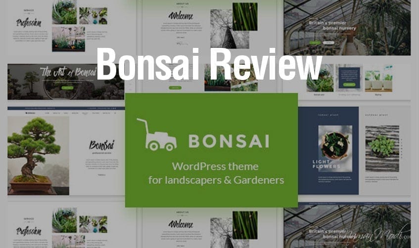 Bonsai Review NamanModi