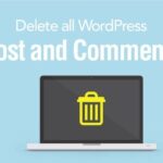 How to Delete all WordPress Post and Comments NamanModi