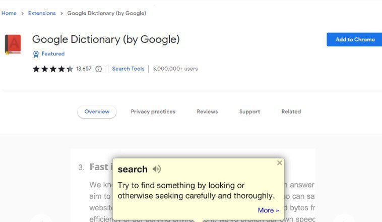 Google Dictionary Extension